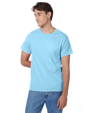 Picture of Hanes Men's Authentic-T T-Shirt